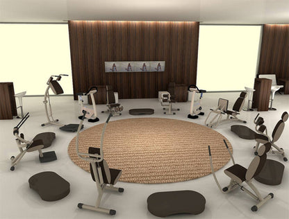 Techno Gym Easy Line circuit, 8 machines, silver-grey frames, brown upholstery, used