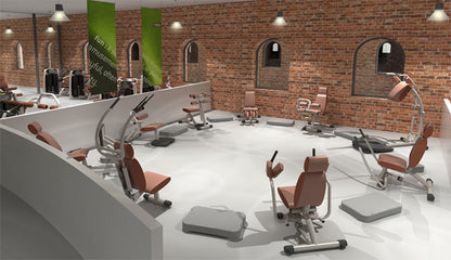Techno Gym Easy Line circuit, 8 machines, silver-grey frames, brown upholstery, used