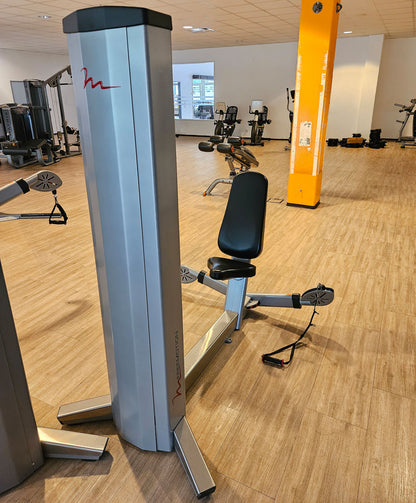Freemotion Multi-Plane Shoulder G601 - Schulterpresse am Kabel, Kabelzüge für Schultertraining, Krafttrainingsgerät aus der Genesis Serie, Rahmenfarbe Silber, gebraucht - überholter Zustand