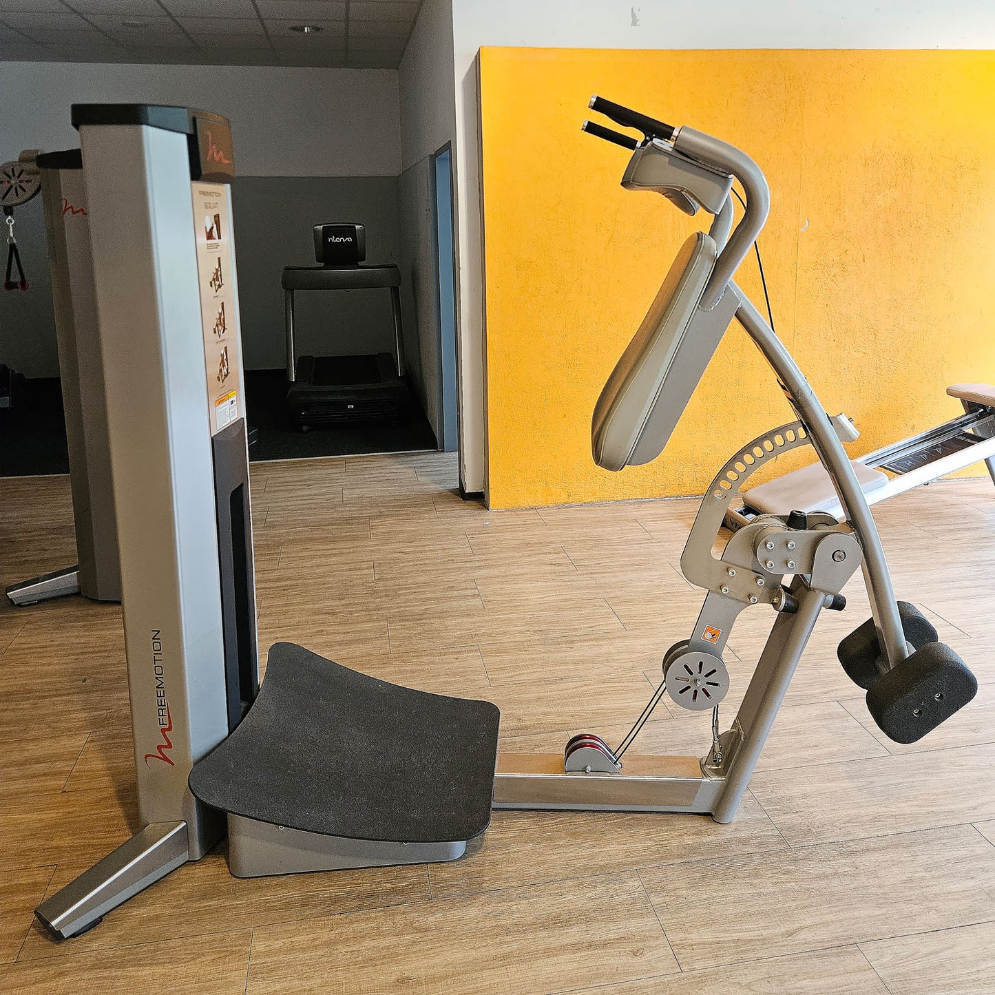 Freemotion Squat G610 - Kniebeugenmaschine, Bein Krafttrainingsgerät aus der Genesis Serie, Rahmenfarbe Silber, gebraucht - überholter Zustand
