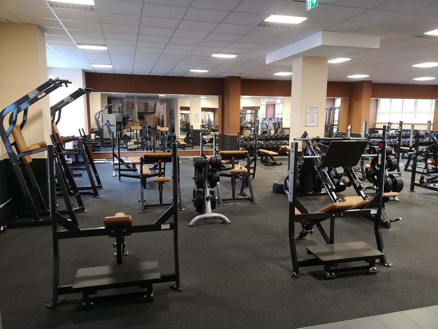 Life Fitness &amp; Hammer Strength - 93 fitness machines - strength training equipment, cardio equipment, plate-loaded equipment, benches, etc. - complete gym - used - TOP condition