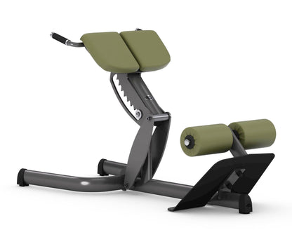 Gym80 Rückenstreckerbank 4119,  45 Grad, Hyperextension, Sygnum Serie, Rahmen Silber, Polster Schwarz, gebraucht - überholter Zustand