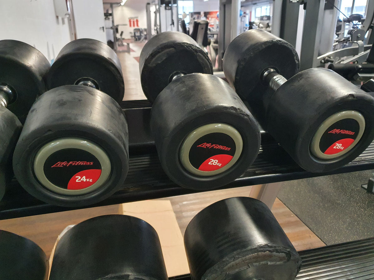 Life Fitness Hantelsatz, gummiert, 2kg bis 40kg in 2kg und 2,5kg Stufen, gebraucht