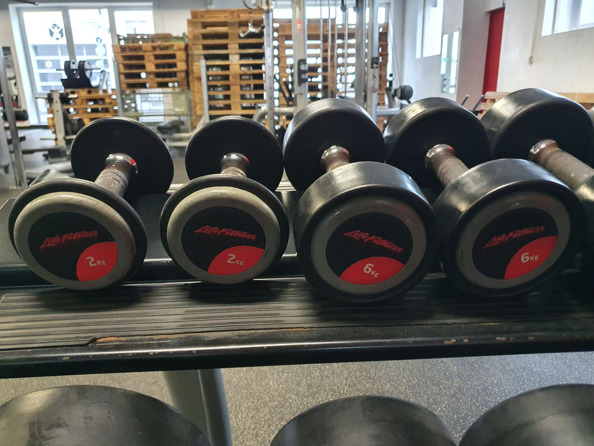 Life Fitness Hantelsatz, gummiert, 2kg bis 40kg in 2kg und 2,5kg Stufen, gebraucht