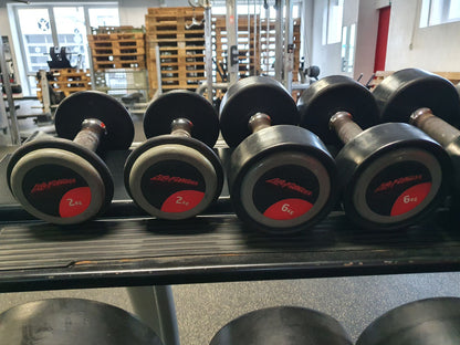 Life Fitness Hantelsatz, gummiert, 2kg bis 40kg in 2kg und 2,5kg Stufen, gebraucht