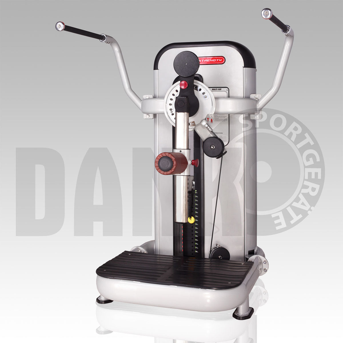 Danksport S-Line Kraftgeräte, Gerätepark mit ca. 22 Fitnessgeräten und Zubehör, Farbe Silber, Polster Braun - Neue Geräte / Ausstellungsgeräte