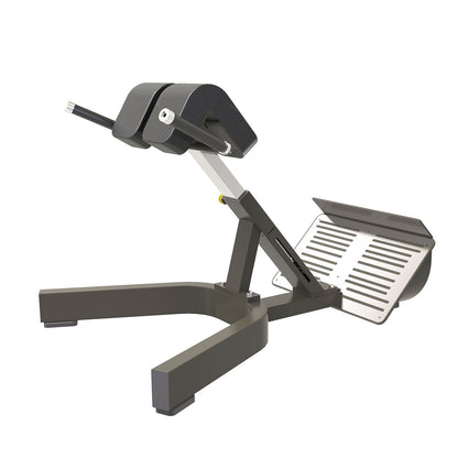 Homegym Set - Trainings für alle Muskelgruppen - Ganzkörpertraining für Zuhause - Bank, Hanteln, Ständer, Stange, Gewichte etc - DankSport
