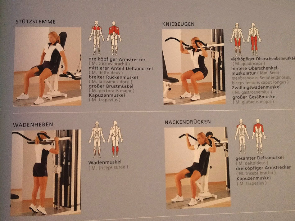 Multitrainer with adjustable training bench