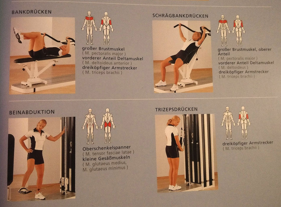 Multitrainer with adjustable training bench