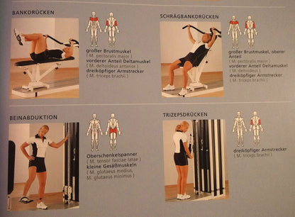 Multitrainer with adjustable training bench