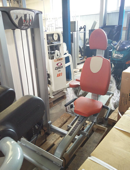 BH Fitness Wadenmaschine sitzend, Silber, Strength Line, gebraucht