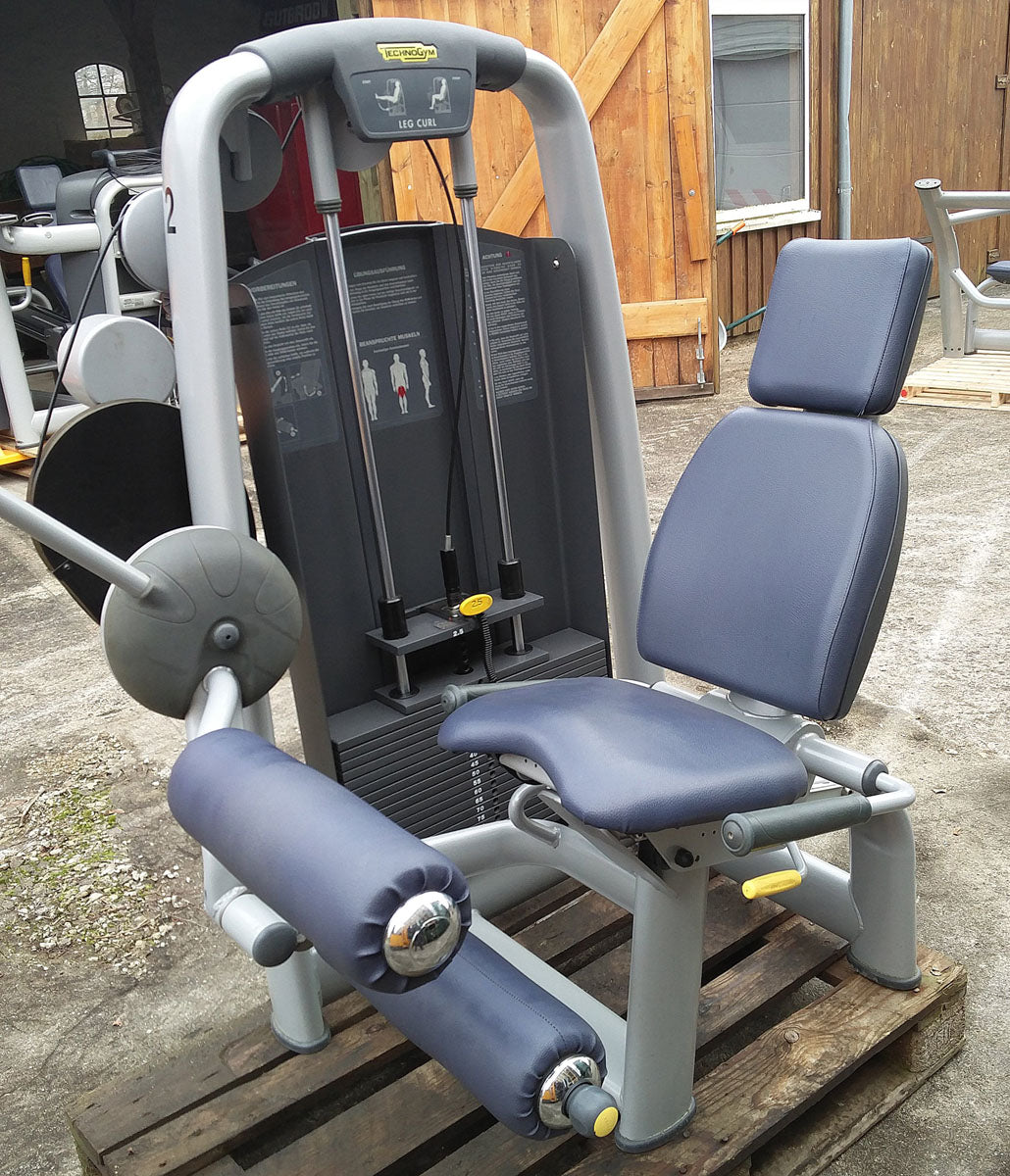 TechnoGym Selection Line strength training set/park with 10 fitness machines, additional equipment on request, used, tested and refurbished