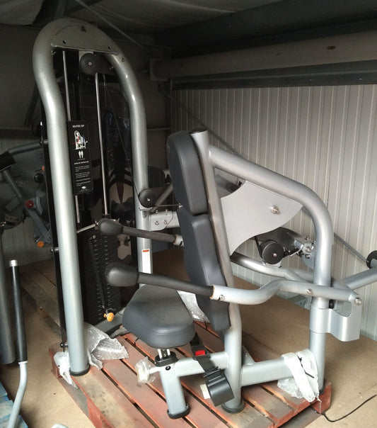 Matrix Aura G3-S42 Trizepsmaschine, Dips, Armstrecker, Farbe Silber, gebraucht - überholter Zustand