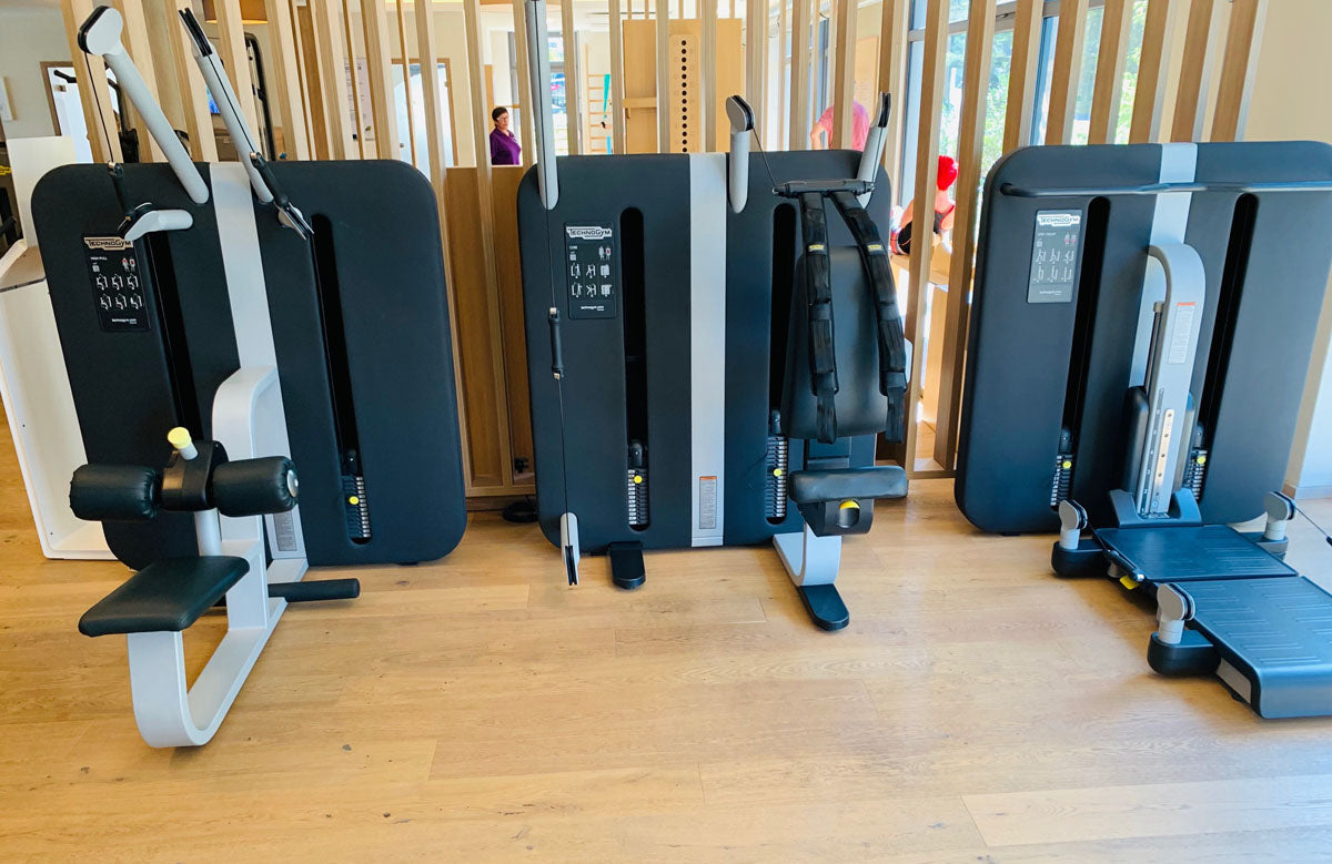 TechnoGym Kinesis Stationen, 6 Kraftgeräte im Set, gebraucht, überholter Zustand