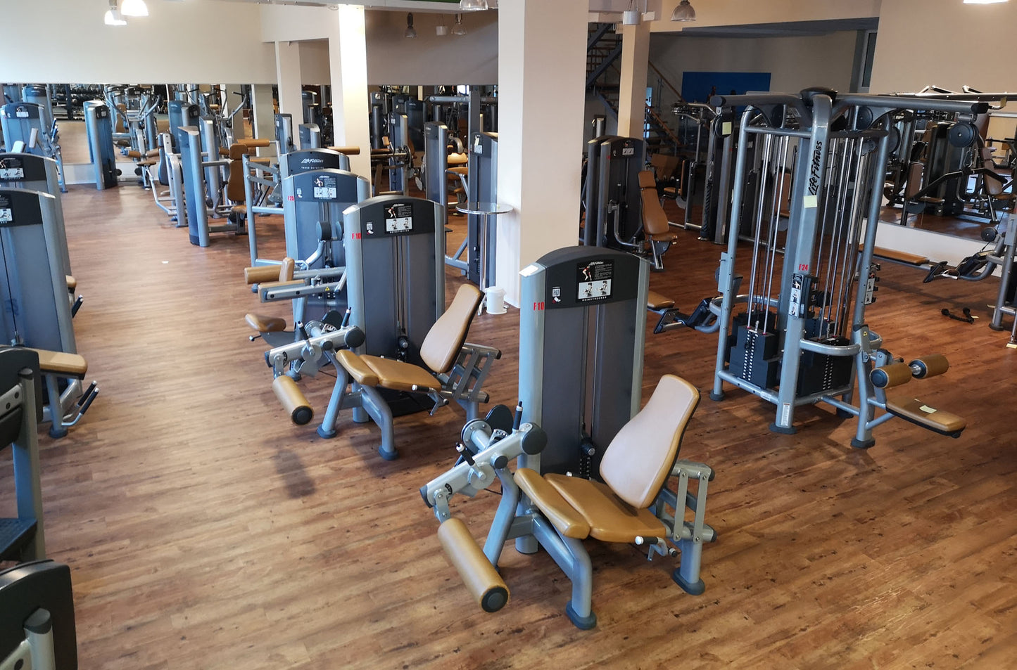 Life Fitness &amp; Hammer Strength - 93 fitness machines - strength training equipment, cardio equipment, plate-loaded equipment, benches, etc. - complete gym - used - TOP condition