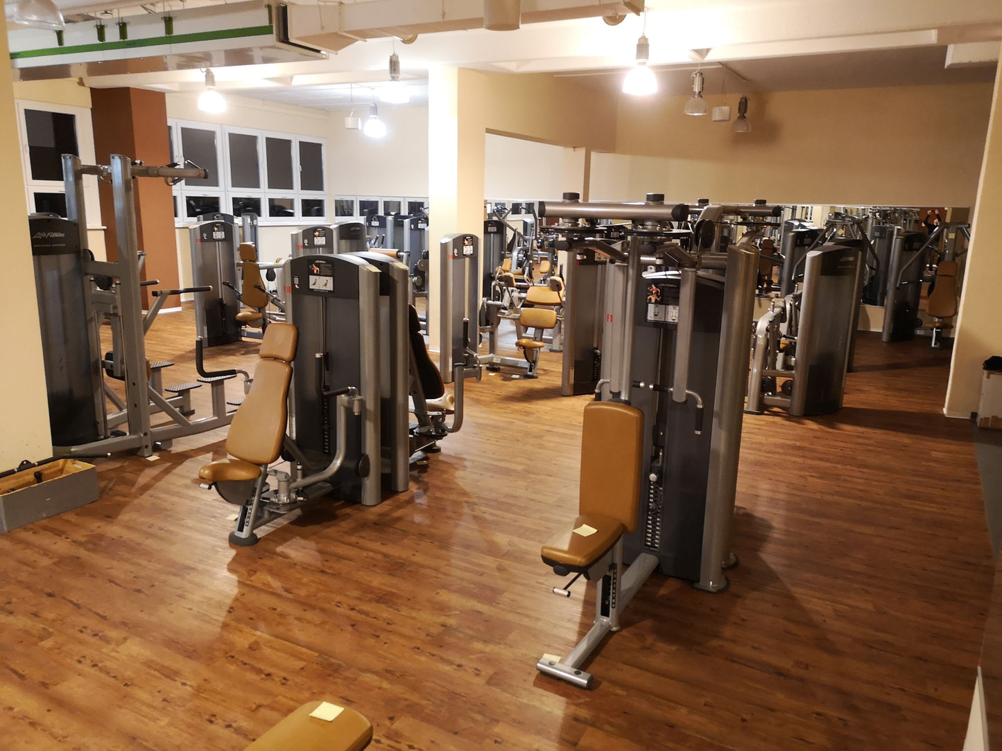 Life Fitness &amp; Hammer Strength - 93 fitness machines - strength training equipment, cardio equipment, plate-loaded equipment, benches, etc. - complete gym - used - TOP condition