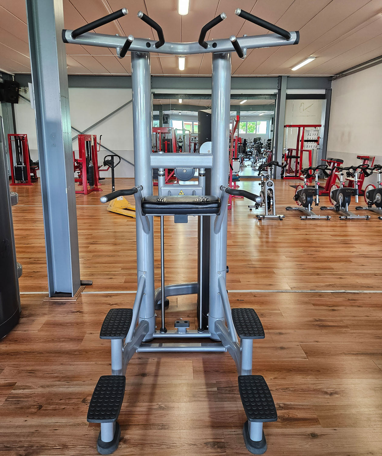 Life Fitness Dip-Klimmzugmaschine mit Gewichtsunterstützung, Dip-Chin Assisted, Signature Serie, Rahmenfarbe Silber, gebraucht - überholter Zustand