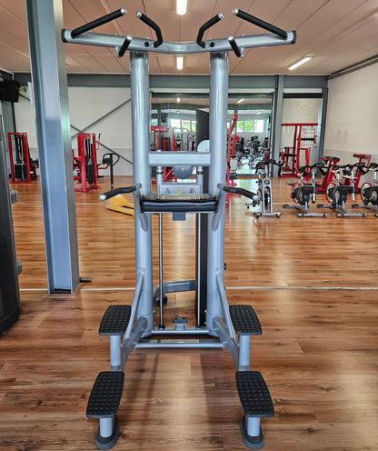 Life Fitness Dip-Klimmzugmaschine mit Gewichtsunterstützung, Dip-Chin Assisted, Signature Serie, Rahmenfarbe Silber, gebraucht - überholter Zustand