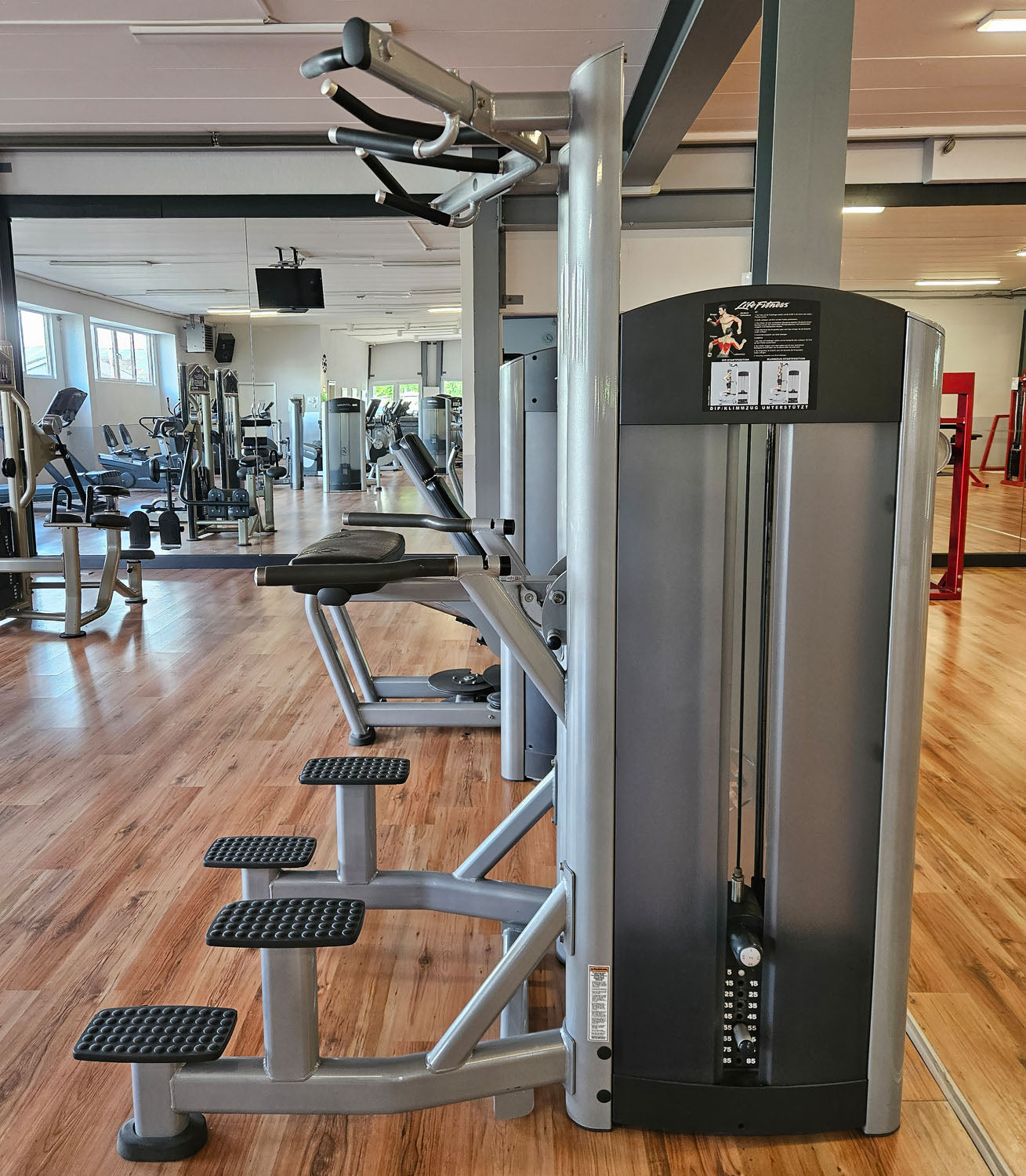 Life Fitness Dip-Klimmzugmaschine mit Gewichtsunterstützung, Dip-Chin Assisted, Signature Serie, Rahmenfarbe Silber, gebraucht - überholter Zustand