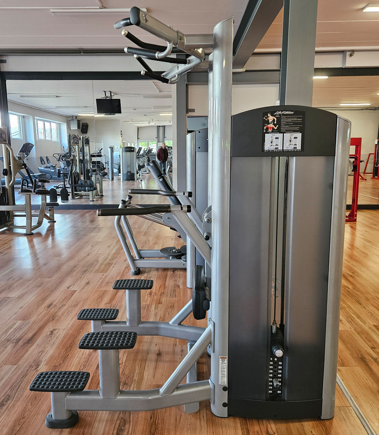 Life Fitness Dip-Klimmzugmaschine mit Gewichtsunterstützung, Dip-Chin Assisted, Signature Serie, Rahmenfarbe Silber, gebraucht - überholter Zustand