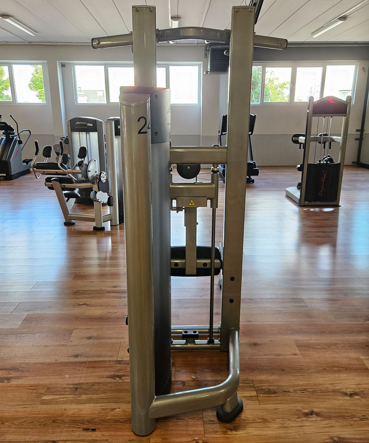 Life Fitness Dip-Klimmzugmaschine mit Gewichtsunterstützung, Dip-Chin Assisted, Signature Serie, Rahmenfarbe Silber, gebraucht - überholter Zustand