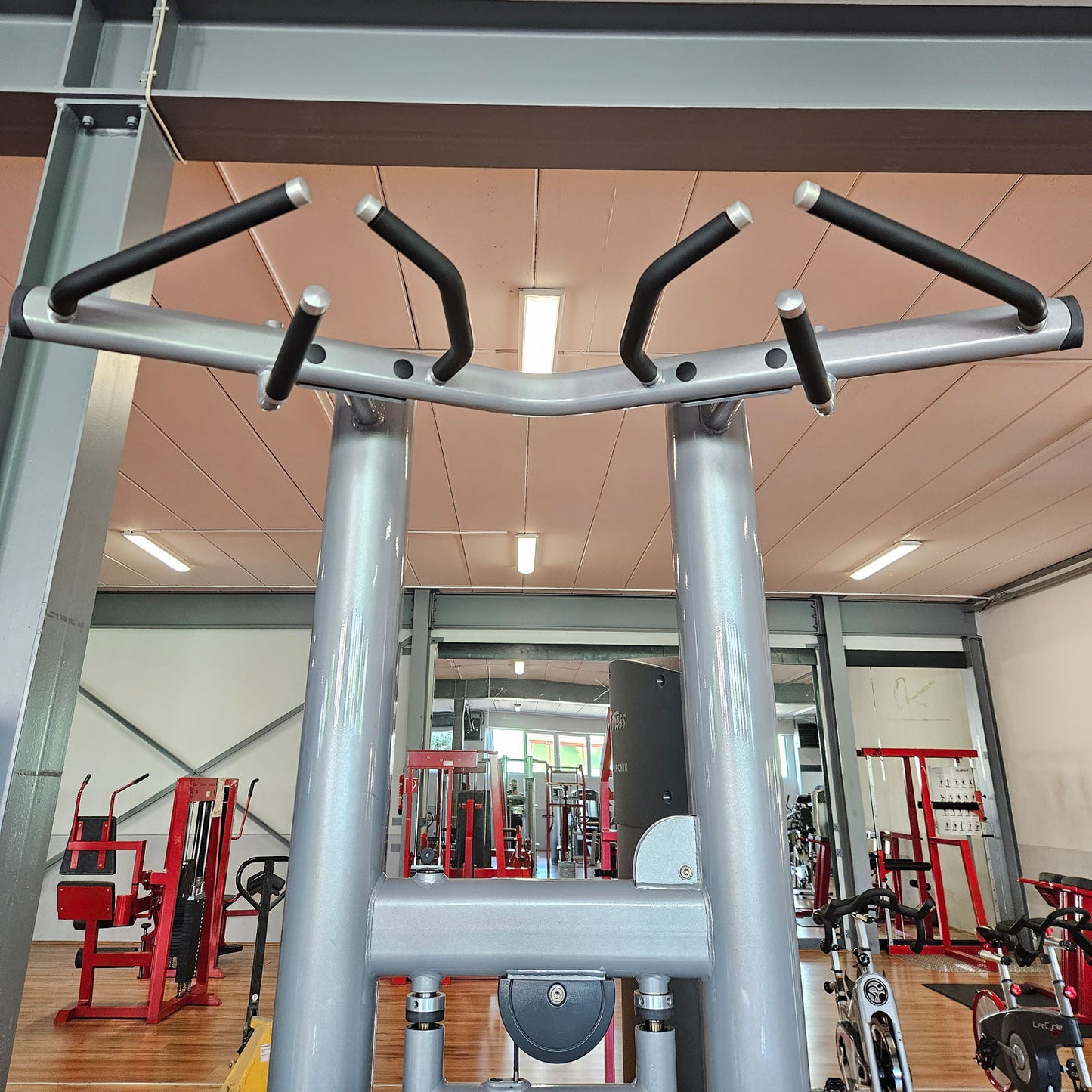 Life Fitness Dip-Klimmzugmaschine mit Gewichtsunterstützung, Dip-Chin Assisted, Signature Serie, Rahmenfarbe Silber, gebraucht - überholter Zustand