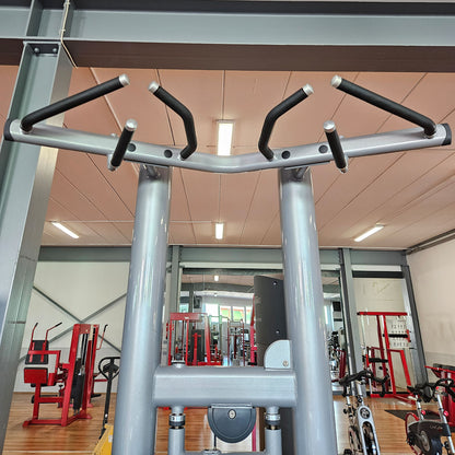 Life Fitness Dip-Klimmzugmaschine mit Gewichtsunterstützung, Dip-Chin Assisted, Signature Serie, Rahmenfarbe Silber, gebraucht - überholter Zustand