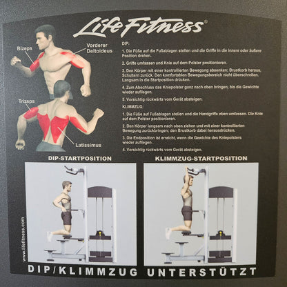 Life Fitness Dip-Klimmzugmaschine mit Gewichtsunterstützung, Dip-Chin Assisted, Signature Serie, Rahmenfarbe Silber, gebraucht - überholter Zustand
