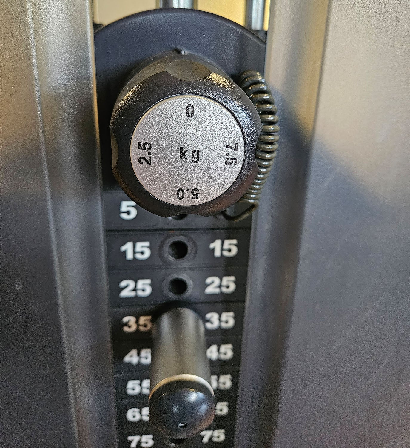 Life Fitness Dip-Klimmzugmaschine mit Gewichtsunterstützung, Dip-Chin Assisted, Signature Serie, Rahmenfarbe Silber, gebraucht - überholter Zustand