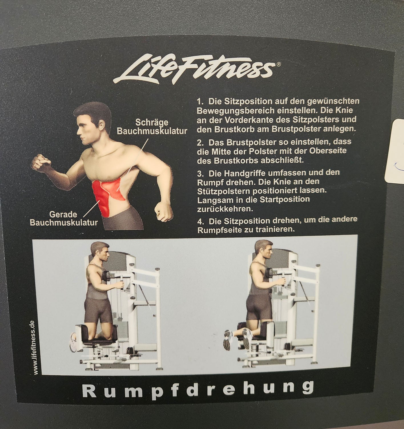 Life Fitness Rotary Torso Twister, Signature Series, Silver Frame, Used - Refurbished Condition