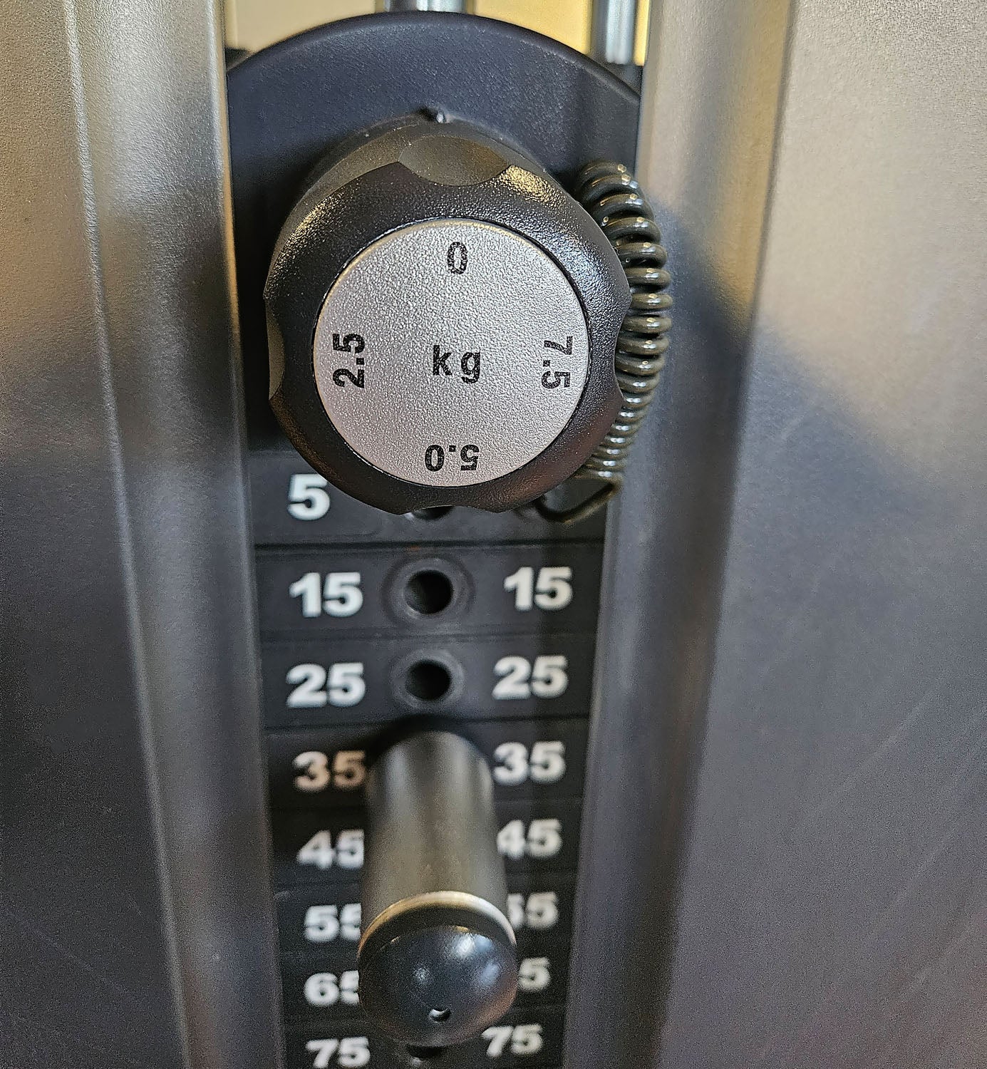 Life Fitness Rotary Torso Twister, Signature Series, Silver Frame, Used - Refurbished Condition