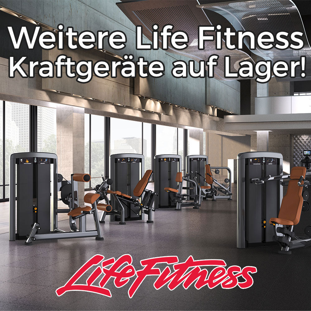 Life Fitness Back Extension, Rückenstreckermaschine, Hyperextension, Insignia Series, Farbe Platinum Silver, Polster Wheat Braun, Neuwertig