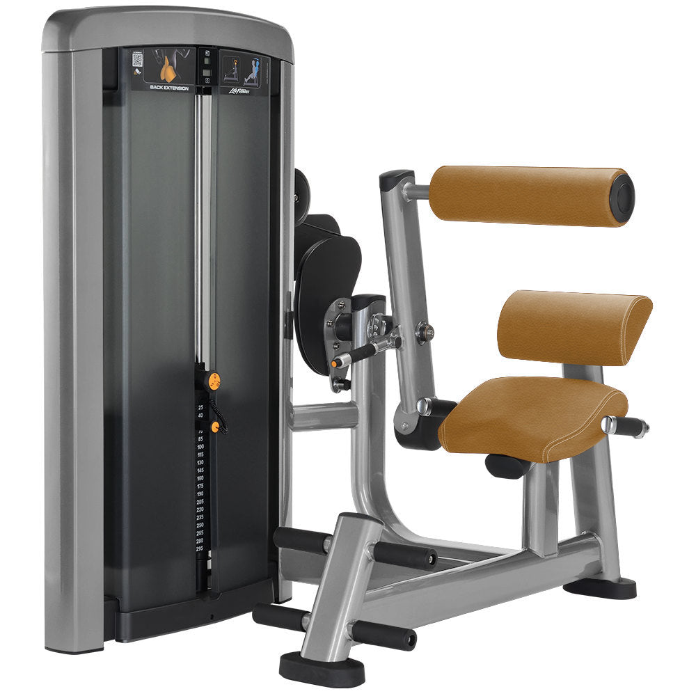 Life Fitness Back Extension, Rückenstreckermaschine, Hyperextension, Insignia Series, Farbe Platinum Silver, Polster Wheat Braun, Neuwertig