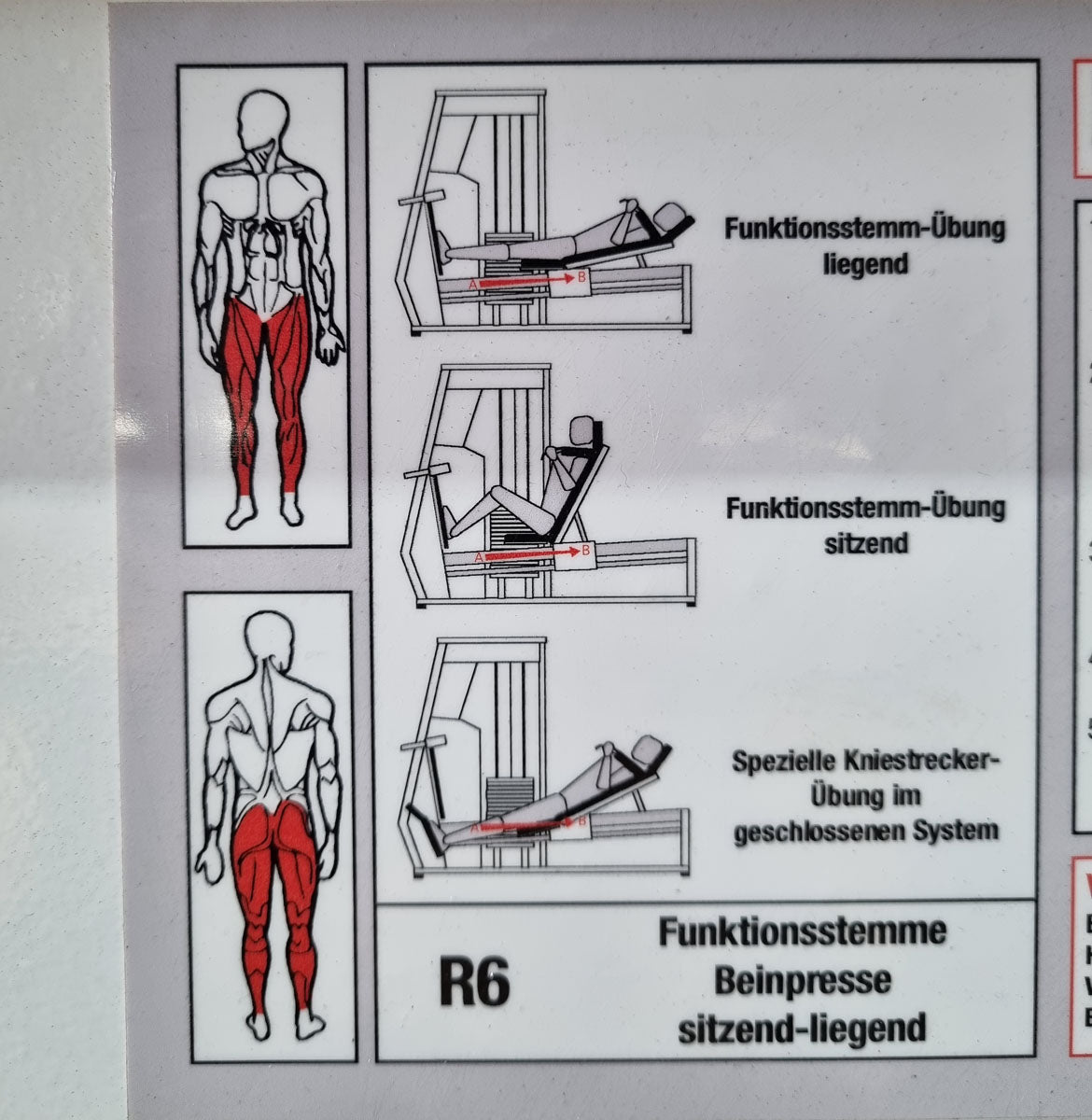 MKB Reha functional press, adjustable leg press, tilting gyroscope, MPG, frame color white, used - refurbished condition