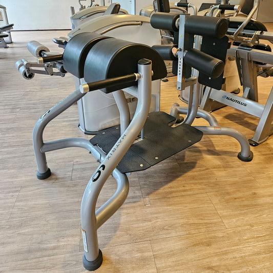 Matrix Magnum Glute Ham Bench MG-A96, Bank für unteren Rücken, Bauch, Beine und Po Training, Rahmenfarbe Silber, gebraucht - überholter Zustand