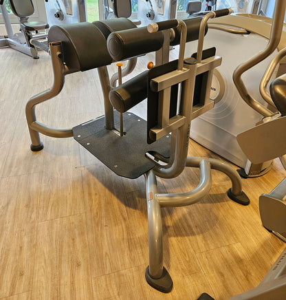Matrix Magnum Glute Ham Bench MG-A96, Bank für unteren Rücken, Bauch, Beine und Po Training, Rahmenfarbe Silber, gebraucht - überholter Zustand