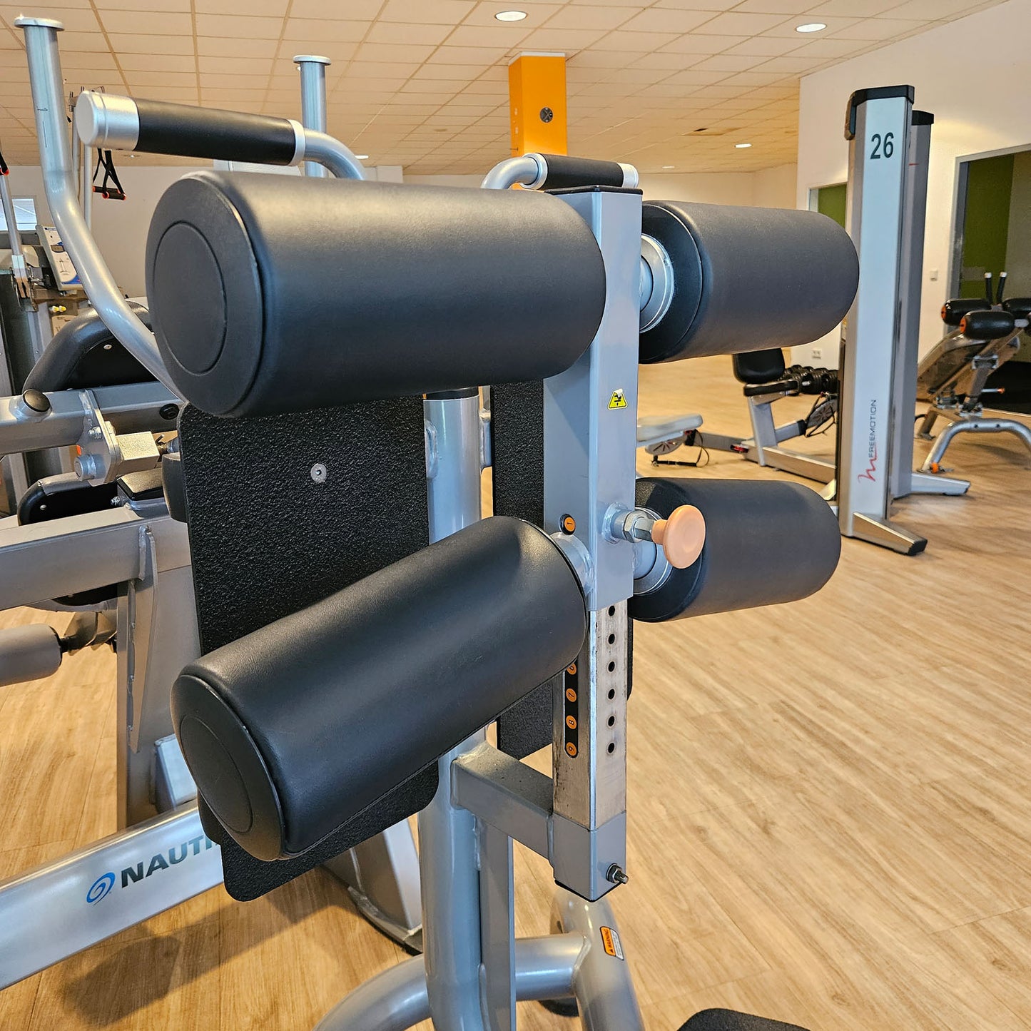 Matrix Magnum Glute Ham Bench MG-A96, Bank für unteren Rücken, Bauch, Beine und Po Training, Rahmenfarbe Silber, gebraucht - überholter Zustand