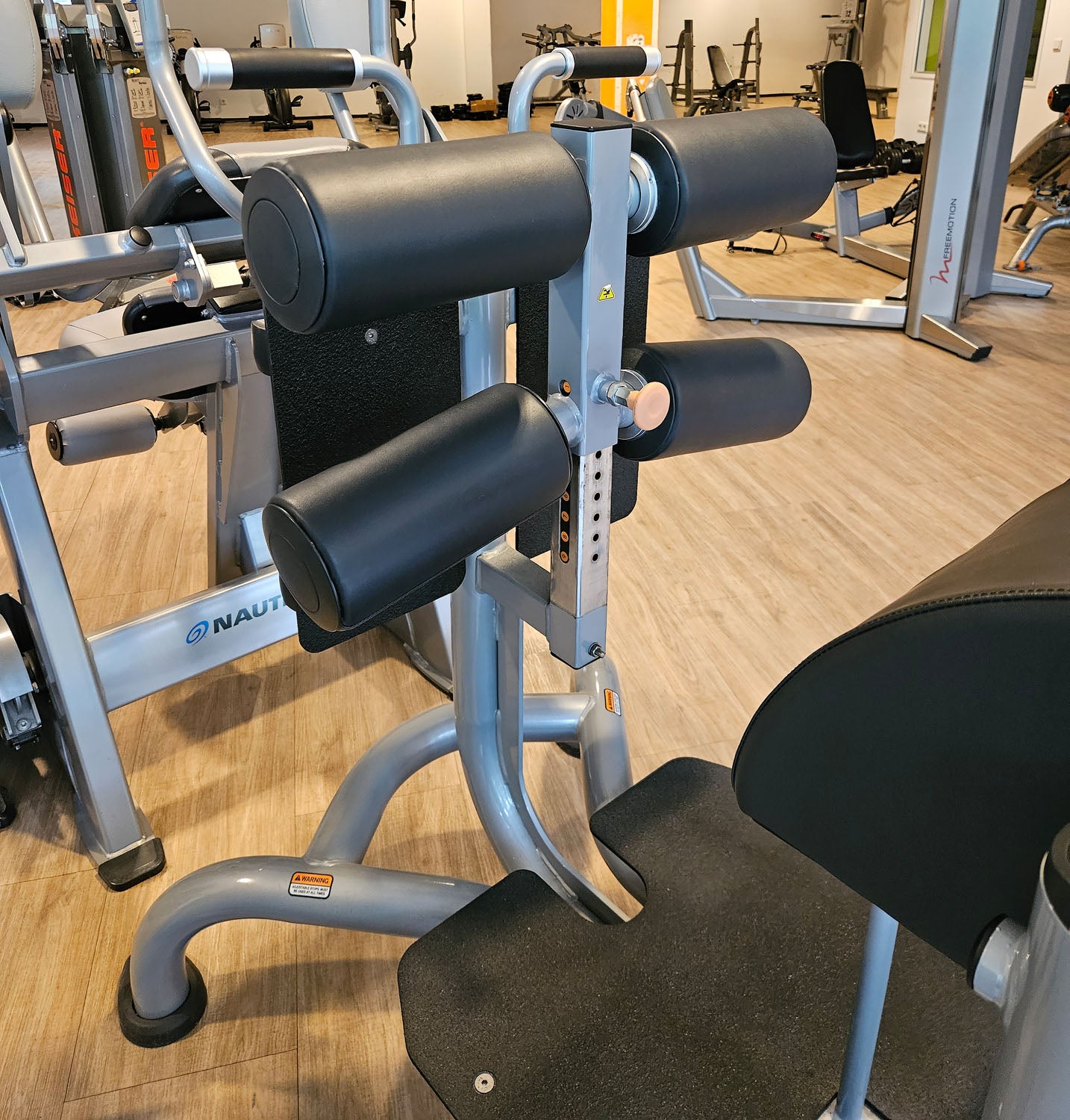 Matrix Magnum Glute Ham Bench MG-A96, Bank für unteren Rücken, Bauch, Beine und Po Training, Rahmenfarbe Silber, gebraucht - überholter Zustand
