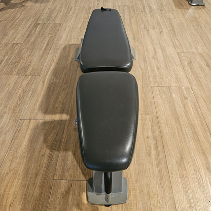 Nautilus Nitro Universalbank verstellbar, Hantelbank ohne Ablage, Multi-Adjustable Bench, Rahmen Silber, gebraucht - geprüfter Zustand mit Gebrauchsspuren