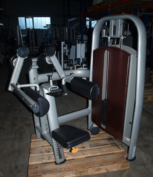 Realleader Seithebe / Schultermaschine / Lateral Raise, Silber, gebraucht - überholter Zustand