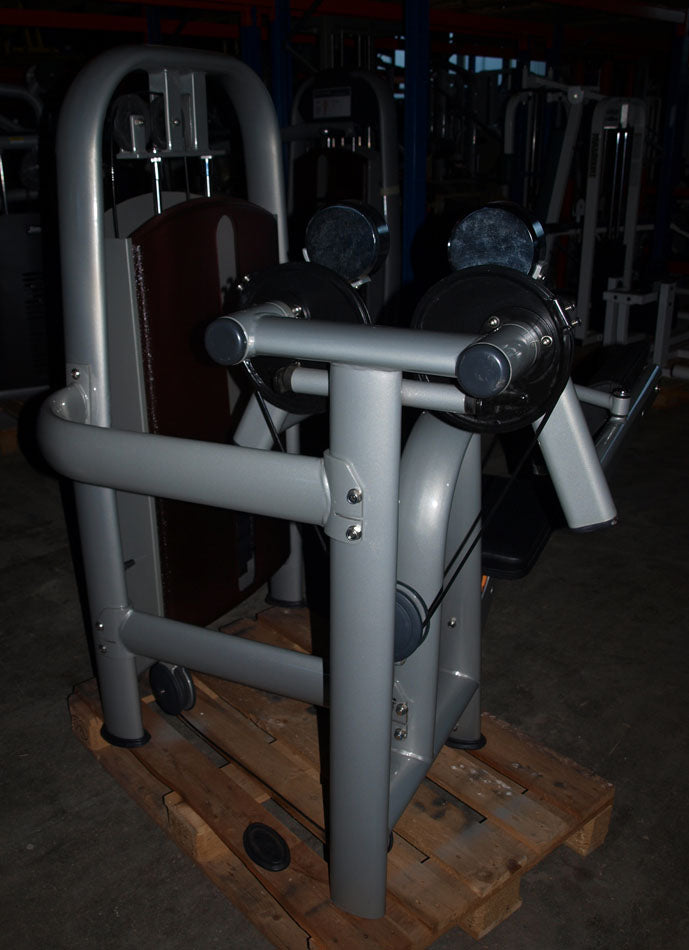 Realleader Lateral Raise / Shoulder Machine / Lateral Raise, Silver, used - refurbished condition