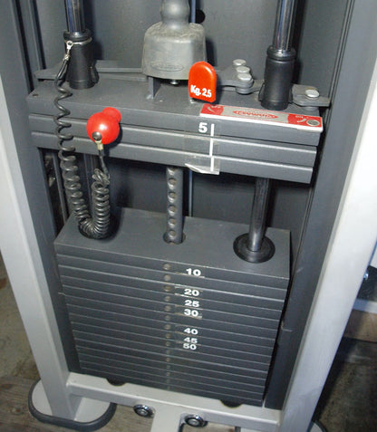 Panatta, Butterfly mit Einstiegshilfe, Pectoral Machine, Pec Fly, Farbe Silber, gebraucht - geprüfter Zustand