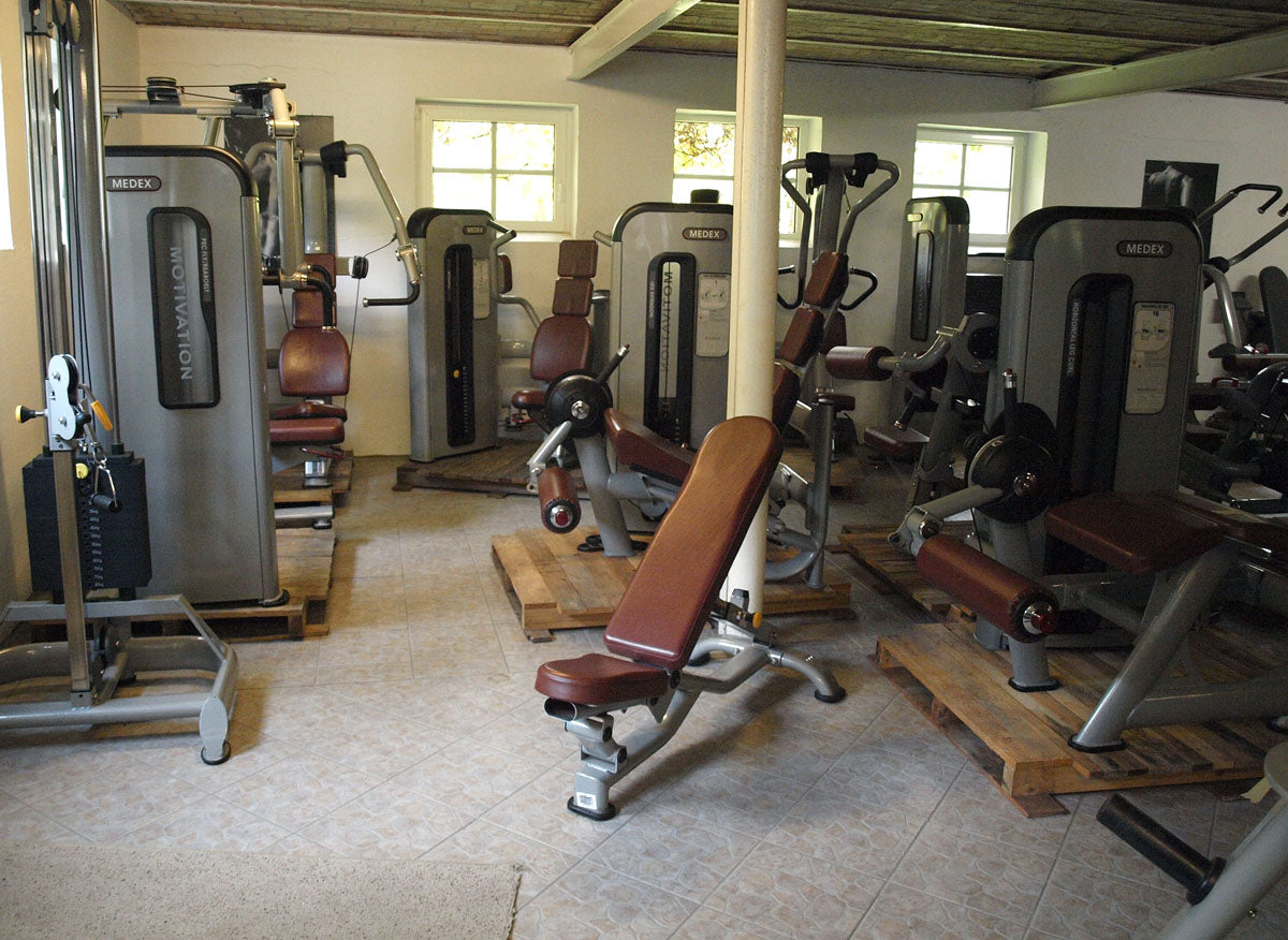 Komplette Fitnessstudio Einrichtung - Gerätepark mit über 45 Kraftgeräten - Danksport S-Line Set mit 45 Fitnessgeräten & Zubehör, Ausstellungsgeräte vergleichbar mit Gym80, Nautilus, Star Trac oder TechnoGym