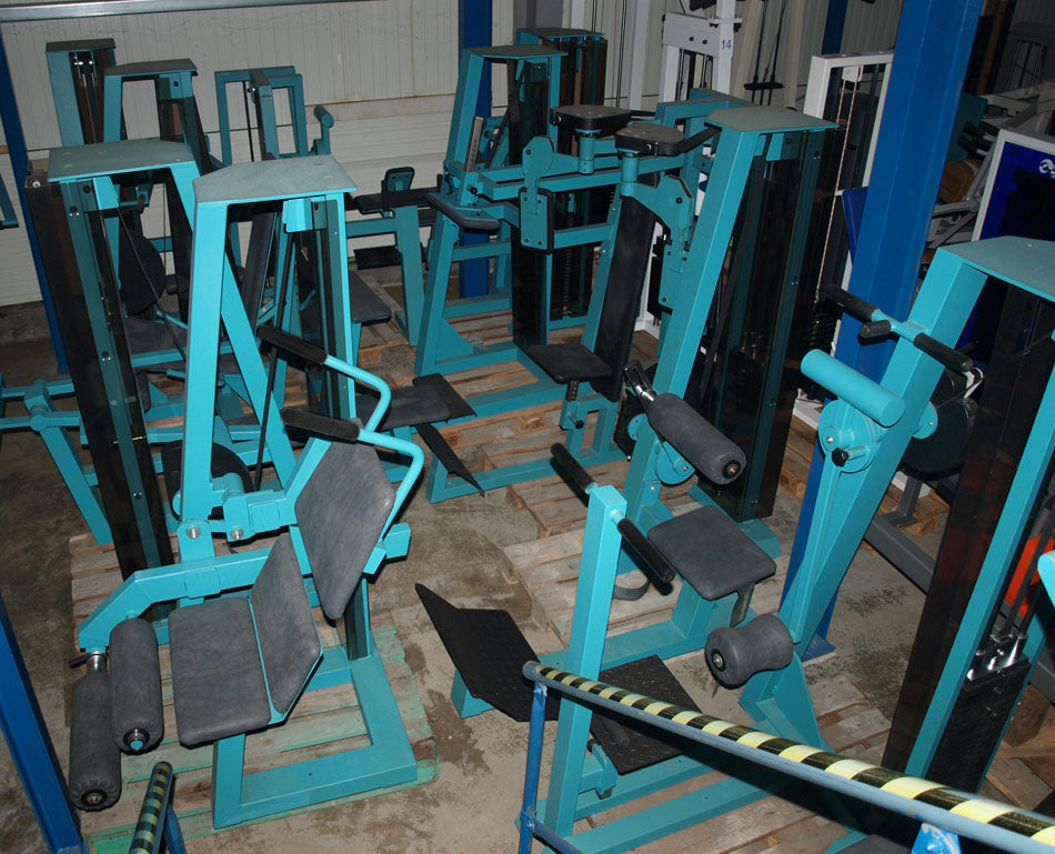 Gym 80, Wadenmaschine Donkey, Edition Line, gebraucht
