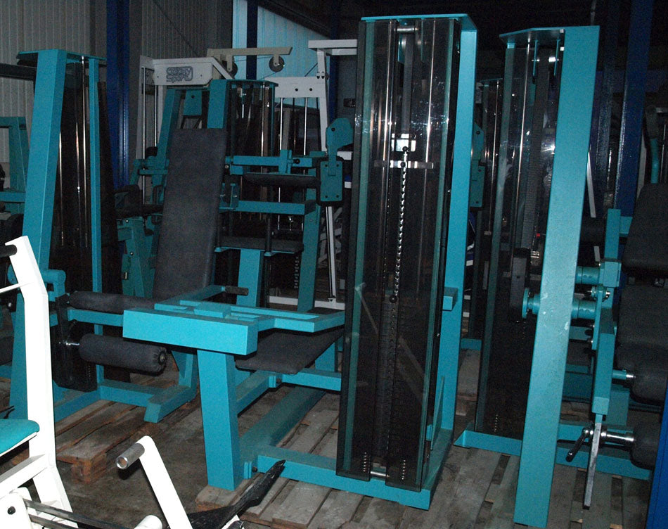 Gym 80, Wadenmaschine Donkey, Edition Line, gebraucht