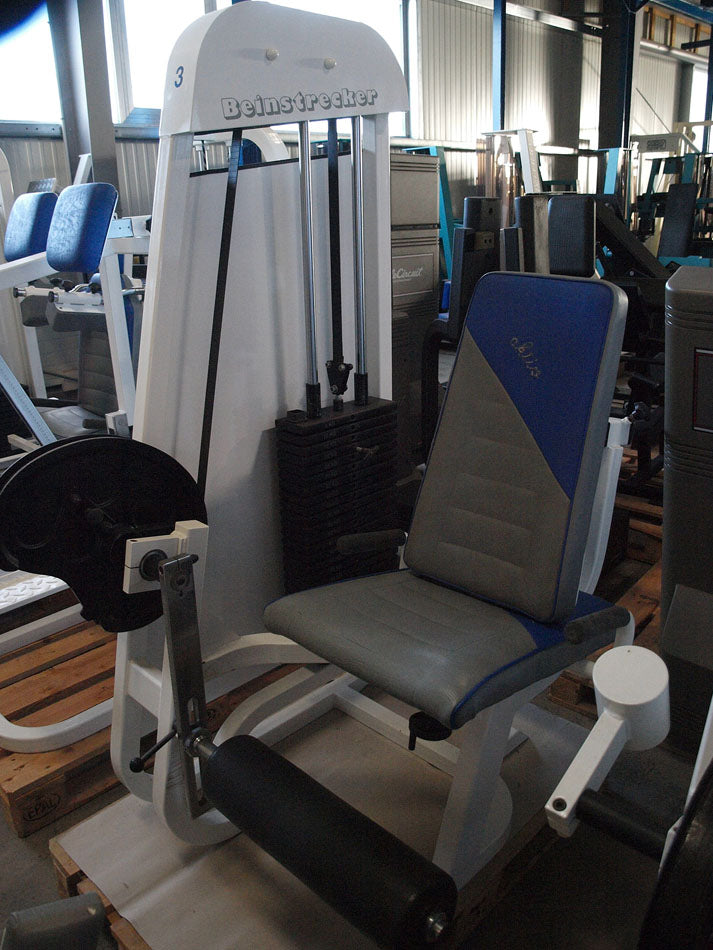 ASS Kraftgerätepark, 17 Fitnessgeräte, Fitnessstudio Ausrüstung, gebraucht