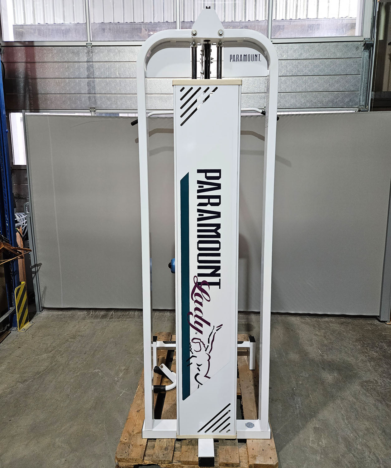Paramount Lat-Row Model 700 - Cable pulldown and cable rowing machine - 2-in-1 combination machine, pulldown and row, Made in USA, used - tested condition