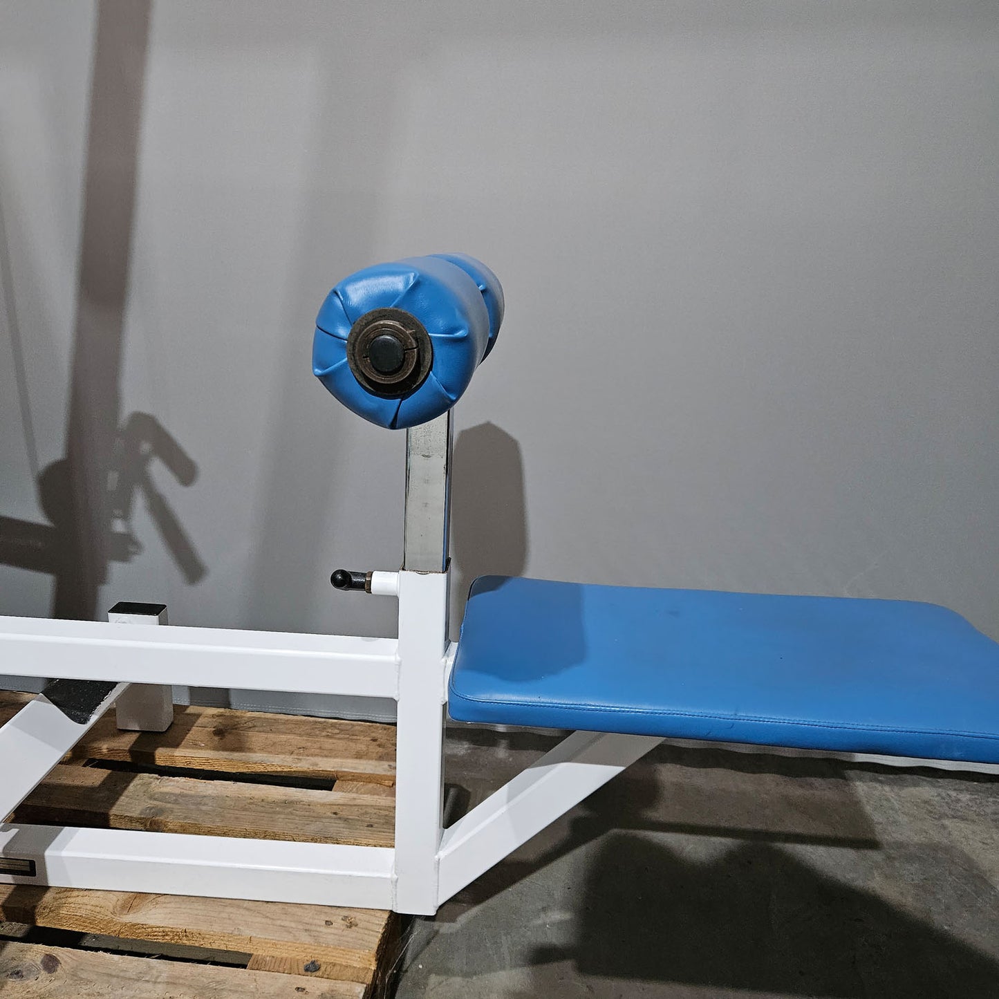 Paramount Lat-Row Model 700 - Cable pulldown and cable rowing machine - 2-in-1 combination machine, pulldown and row, Made in USA, used - tested condition