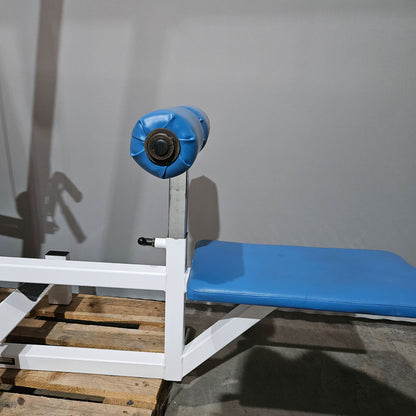 Paramount Lat-Row Model 700 - Cable pulldown and cable rowing machine - 2-in-1 combination machine, pulldown and row, Made in USA, used - tested condition