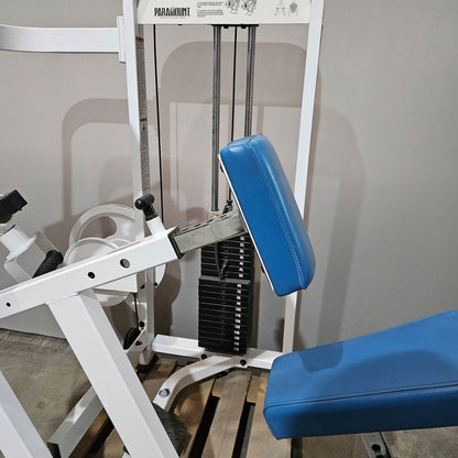 Paramount Rotary Upper Back - ART 4300 - Rowing machine with chest support, rotating handles, Made in USA, used - tested condition